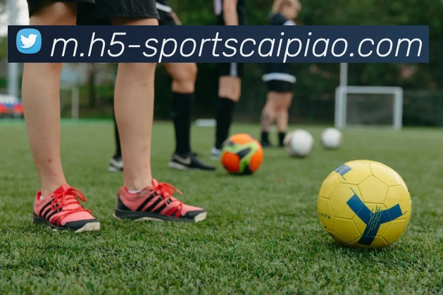 大发彩票APP 封面图